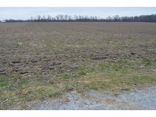 Property photo 3 - 175 Acres Offered in 5 Tracts - Tontogany, Ohio Farm Land Auction